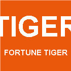 Fortune Tiger